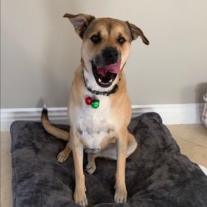 Meet your Posher, Marianne